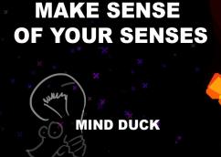 Make sense of your senses